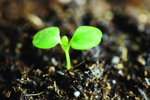 分类算法带来了哪些行业变革