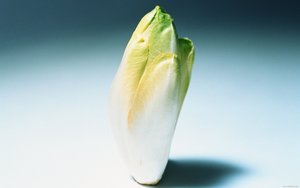 风控系统